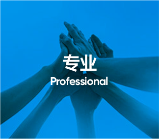 专业